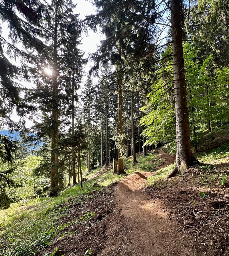 Bautagebuch Alpen Bikepark, Trailbau hat gestartet